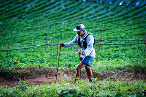 BIB: 
                            <button type="button" onclick="openModal(19159997)" class="btn btn-primary btn-sm float-right btn-popup" data-toggle="modal" data-target=".modal-high-quality">
                        <i class="fas fa-shopping-cart"></i> Add to Cart
                    </button>
                                            <button type="button" onclick="isThisMe(19159997, true)" class="btn btn-success btn-sm float-right btn-popup btn-isme hidden" data-toggle="tooltip" data-placement="bottom" title="นี่คือรูปของคุณใช่ไหม คลิกที่นี่เพื่อเอาเข้าอัลบั้ม">
                        <i class="fas fa-plus"></i> Add to album
                    </button>
                    <button type="button" onclick="isThisMe(19159997, false)" class="btn btn-warning btn-sm float-right btn-popup btn-isnotme hidden">
                        <i class="fas fa-ban"></i> Remove from album
                    </button>